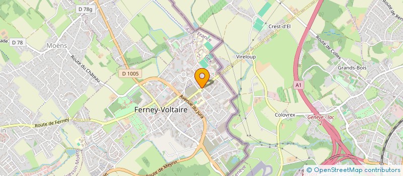 localisation de l'entreprise MONSIEUR ADEEL RIAZ à FERNEY-VOLTAIRE