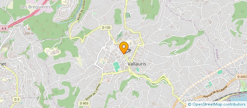 localisation de l'entreprise MONSIEUR ADEL ABOU NIL à VALLAURIS