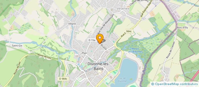 localisation de l'entreprise MONSIEUR ADEL EL-MENSAR à DIVONNE-LES-BAINS