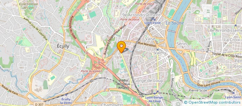 localisation de l'entreprise MONSIEUR ADEL SACI  LYON