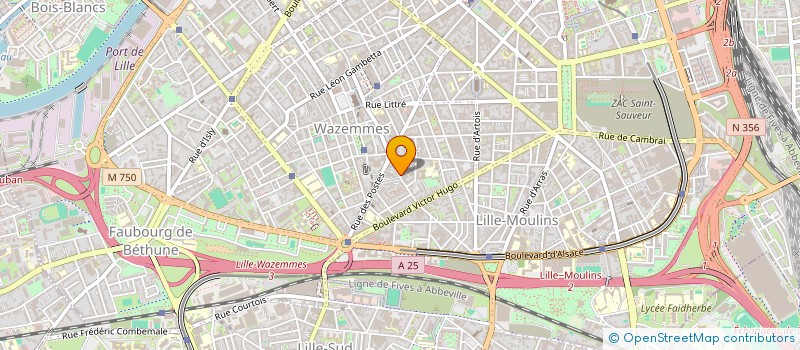 localisation de l'entreprise MONSIEUR ADEL TRABELSI à LILLE
