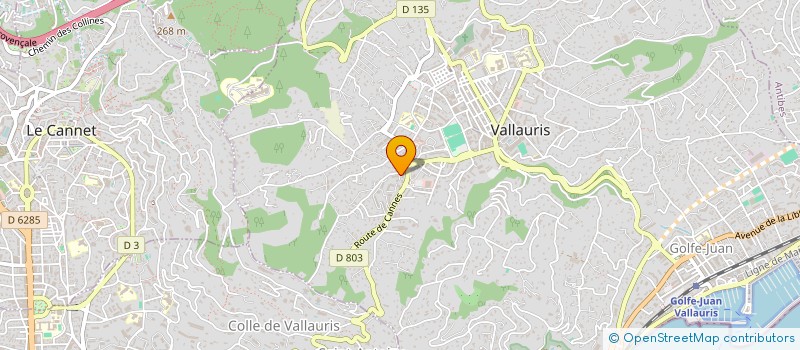 localisation de l'entreprise MONSIEUR ADIEZER DA CRUZ ROSA  VALLAURIS