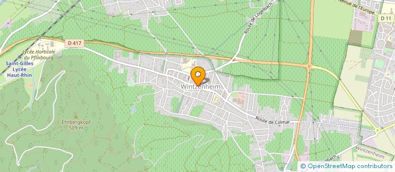 localisation de l'entreprise MONSIEUR ADIL AYAS  WINTZENHEIM