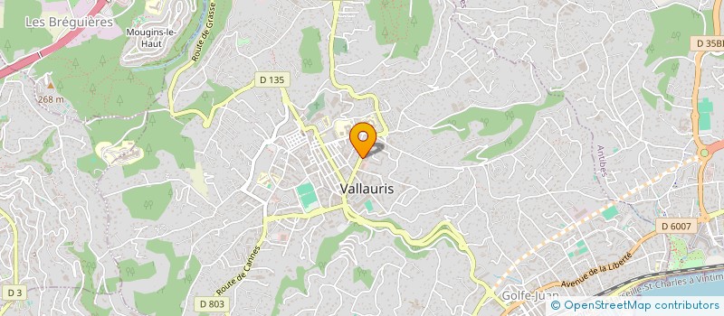 localisation de l'entreprise MONSIEUR ADIS RIBIC à VALLAURIS