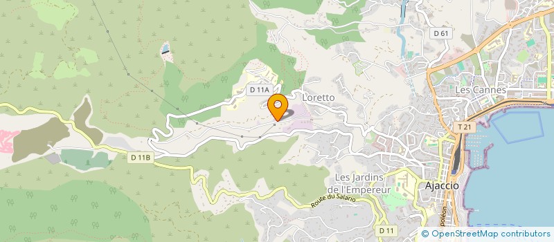 localisation de l'entreprise MONSIEUR ADJEVI SAUBUSSE à AJACCIO
