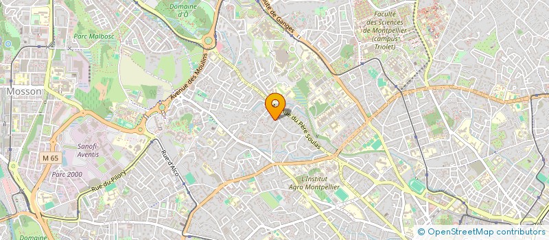 localisation de l'entreprise MONSIEUR ADLANI BENDAHMA à MONTPELLIER