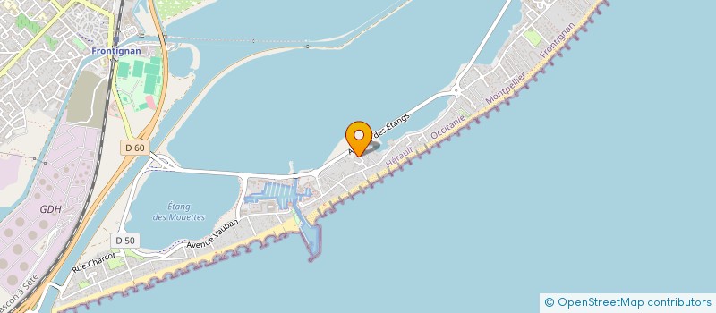 localisation de l'entreprise MONSIEUR ADNENE NAAMANE à FRONTIGNAN