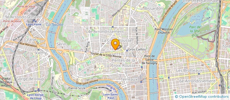 localisation de l'entreprise MONSIEUR ADOLFO FELICIANO  LYON