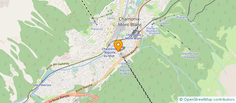 localisation de l'entreprise MONSIEUR ADRIAN FEDOREANU  CHAMONIX-MONT-BLANC