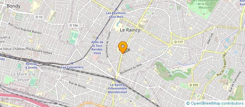localisation de l'entreprise MONSIEUR ADRIAN RASCAMU  LE RAINCY