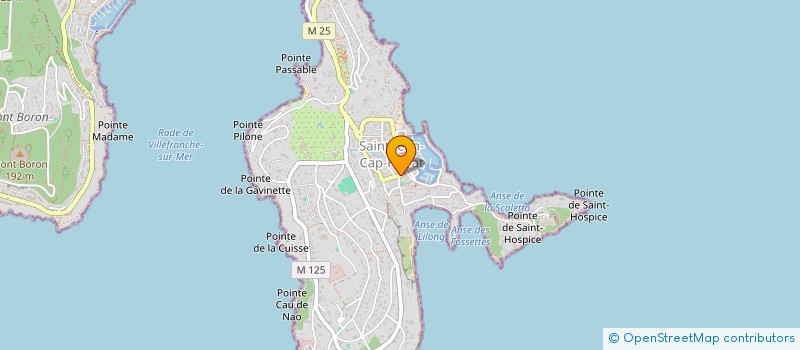 localisation de l'entreprise MONSIEUR ADRIAN STAVILA  SAINT-JEAN-CAP-FERRAT