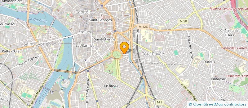 localisation de l'entreprise MONSIEUR ADRIAN VODOVOSOFF à TOULOUSE