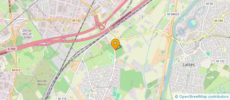 localisation de l'entreprise MONSIEUR ADRIANO PINHEIRO DA SILVA à LATTES