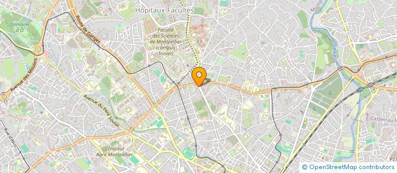 localisation de l'entreprise MONSIEUR ADRIEN ASSELIN à MONTPELLIER