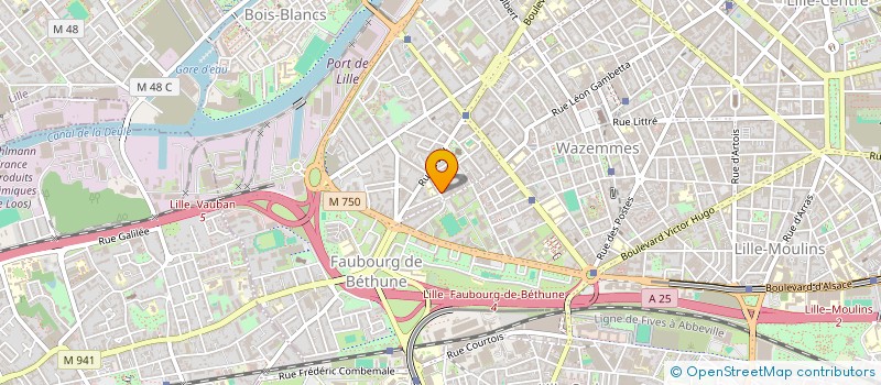 localisation de l'entreprise MONSIEUR ADRIEN BELIGNE à LILLE