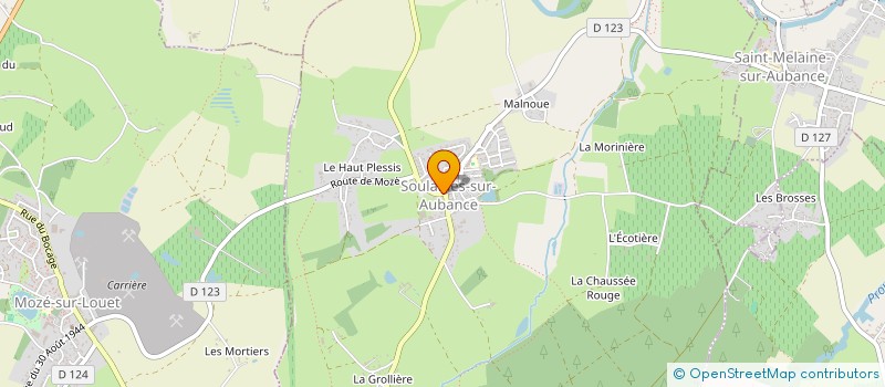 localisation de l'entreprise MONSIEUR ADRIEN CESBRON  SOULAINES-SUR-AUBANCE