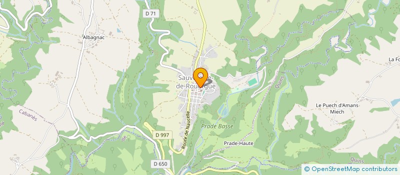 localisation de l'entreprise MONSIEUR ADRIEN DEFERT à SAUVETERRE-DE-ROUERGUE
