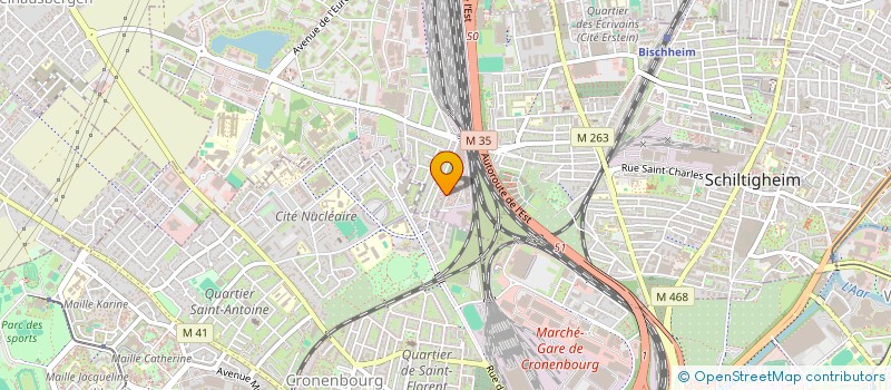 localisation de l'entreprise MONSIEUR ADRIEN FEUILLAS  SCHILTIGHEIM