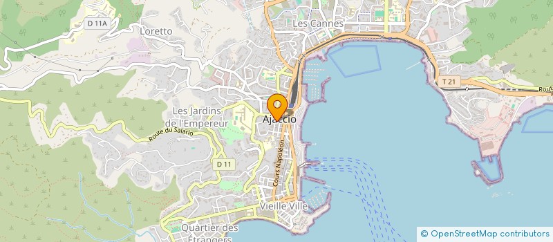 localisation de l'entreprise MONSIEUR ADRIEN LECLUSE à AJACCIO