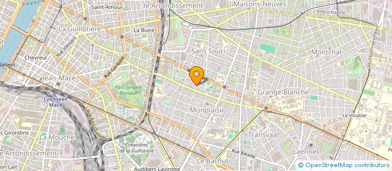 localisation de l'entreprise MONSIEUR ADRIEN LEVIN  LYON