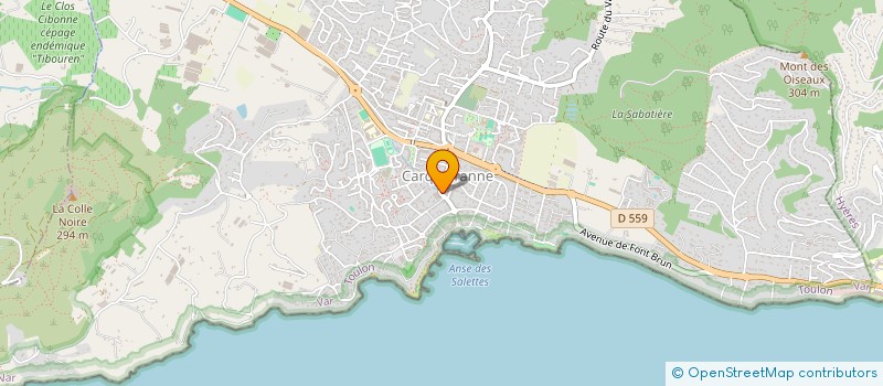 localisation de l'entreprise MONSIEUR ADRIEN MARGARITA  CARQUEIRANNE