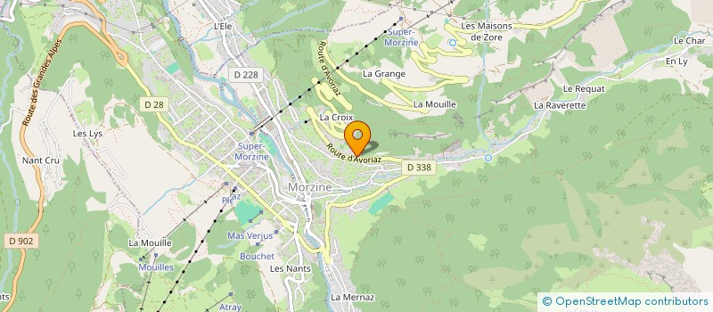 localisation de l'entreprise MONSIEUR ADRIEN RICHARD à MORZINE