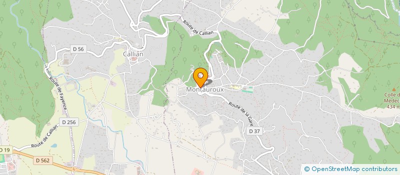 localisation de l'entreprise MONSIEUR ADRIEN RODRIGUEZ Y MENDEZ à MONTAUROUX