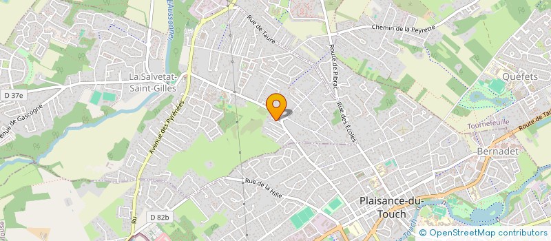 localisation de l'entreprise MONSIEUR ADRIEN SALOM  LA SALVETAT-SAINT-GILLES