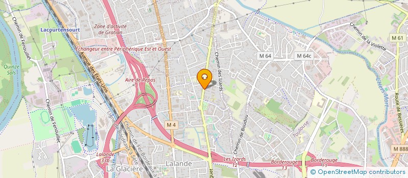 localisation de l'entreprise MONSIEUR ADU MFUM  TOULOUSE
