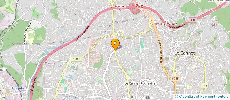 localisation de l'entreprise MONSIEUR AFIFE MAHJOUB à LE CANNET