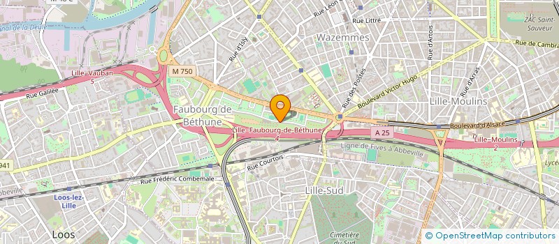 localisation de l'entreprise MONSIEUR AHAMAD TOURE  LILLE