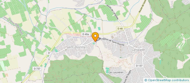 localisation de l'entreprise MONSIEUR AHMAD ALHAMDAN  SAINT-DIONISY