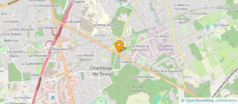 localisation de l'entreprise MONSIEUR AHMAD AMIN  CHAMBRAY-LES-TOURS