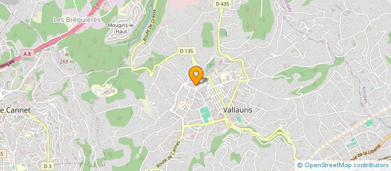 localisation de l'entreprise MONSIEUR AHMAD JNEDY  VALLAURIS