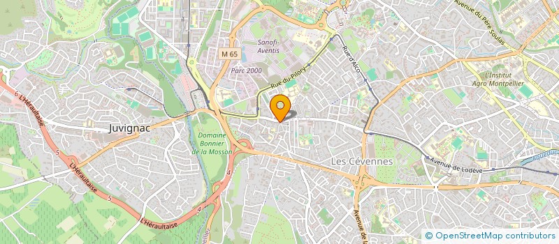 localisation de l'entreprise MONSIEUR AHMAD SHEKIB MAHBOOB à MONTPELLIER