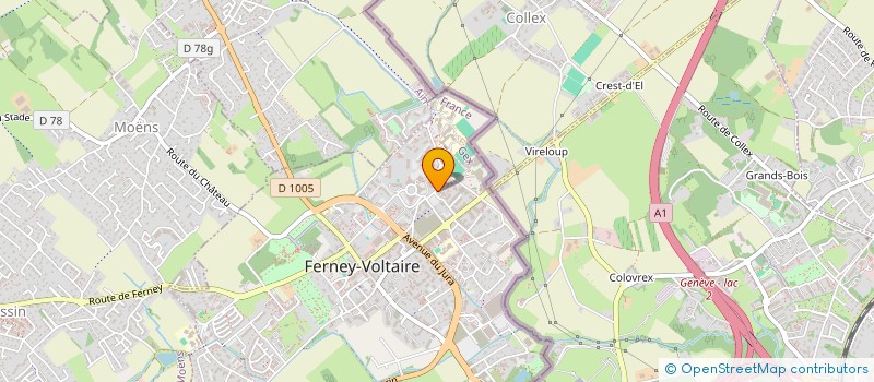 localisation de l'entreprise MONSIEUR AHMAD ZAHID à FERNEY-VOLTAIRE