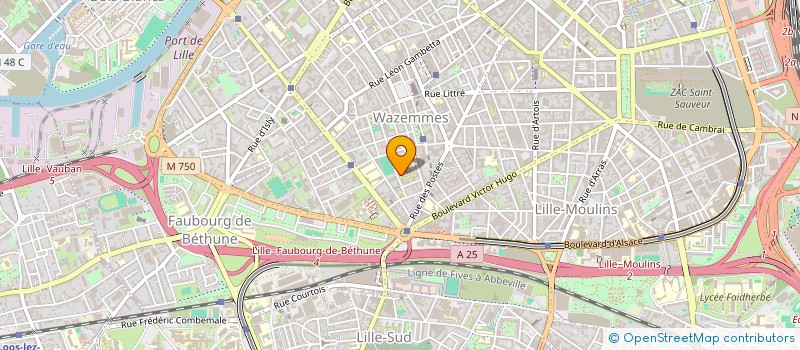 localisation de l'entreprise MONSIEUR AHMADULLAH NASIRI à LILLE