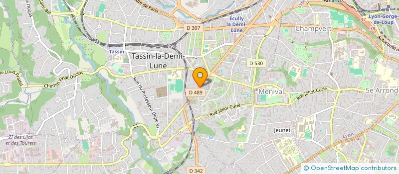 localisation de l'entreprise MONSIEUR AHMED AHAJJAM  TASSIN-LA-DEMI-LUNE