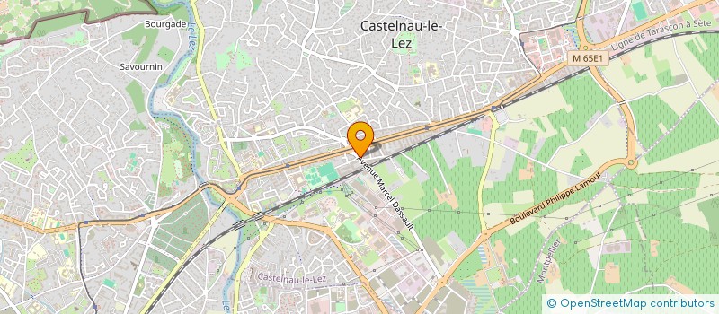 localisation de l'entreprise MONSIEUR AHMED AHMED AJEOUB  CASTELNAU-LE-LEZ