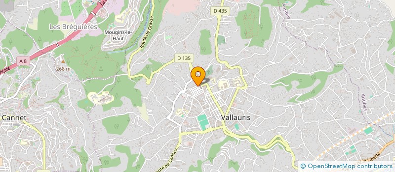 localisation de l'entreprise MONSIEUR AHMED ALI à VALLAURIS