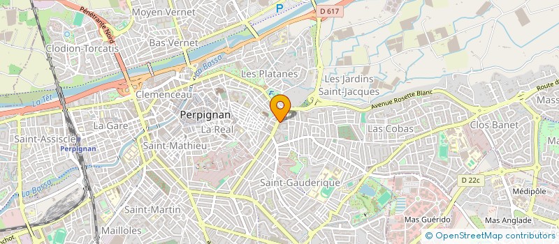 localisation de l'entreprise MONSIEUR AHMED BENHAMIMED  PERPIGNAN