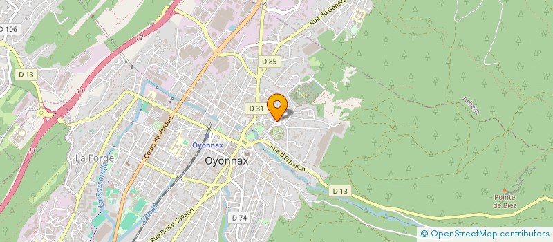 localisation de l'entreprise MONSIEUR AHMED BENSAAD SAIGA à OYONNAX
