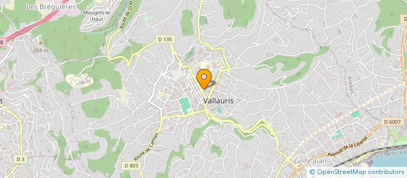 localisation de l'entreprise MONSIEUR AHMED BLOUHI  VALLAURIS