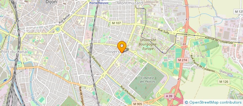 localisation de l'entreprise MONSIEUR AHMED CHEGUENI  DIJON