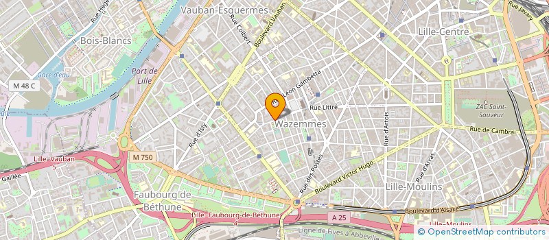 localisation de l'entreprise MONSIEUR AHMED DRAOUI à LILLE
