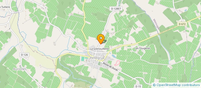 localisation de l'entreprise MONSIEUR AHMED EL BERGUI  PELLEGRUE