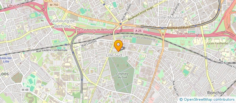 localisation de l'entreprise MONSIEUR AHMED MAHROUK  LILLE