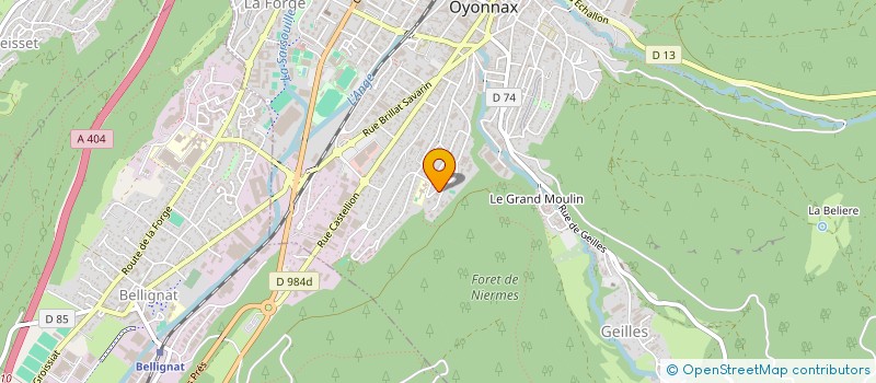 localisation de l'entreprise MONSIEUR AHMET ATAK à OYONNAX