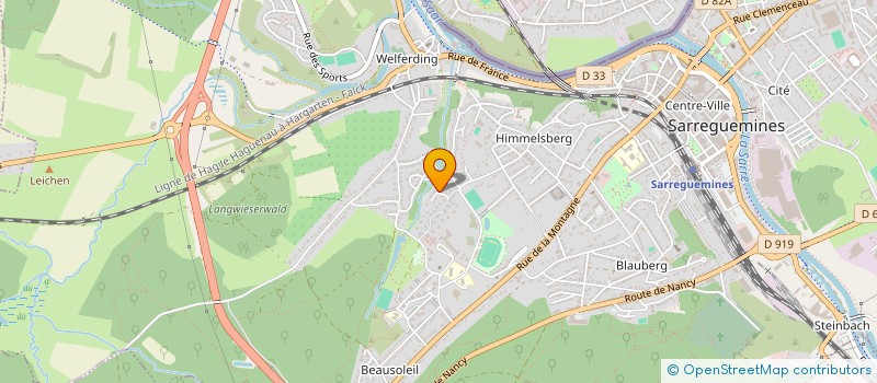 localisation de l'entreprise MONSIEUR AHMET RAMAZANOGLU  SARREGUEMINES