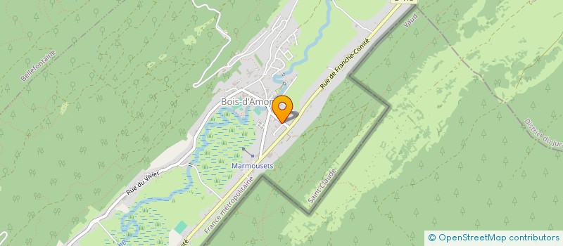 localisation de l'entreprise MONSIEUR AHMET TEPEDUZU  BOIS-D'AMONT